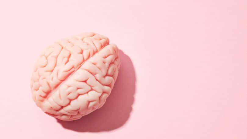Cérebro em fundo rosa.