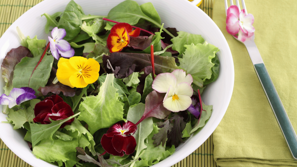 Salada de rúcula, alface e flores coloridas de boca-de-leão. 
