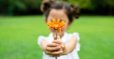 Garotinha segurando uma flor laranja nas mãos. Ela está sobre um ambiente verde, com árvores e grama. O fundo está embaçado (efeito da foto).