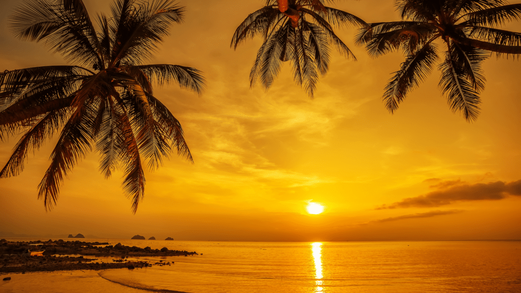 Pôr do sol na praia com coqueiros 