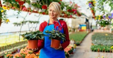 Imagem de uma floricultura e em destaque uma mulher mãe e empreendedora segurando dois casos de plantas.