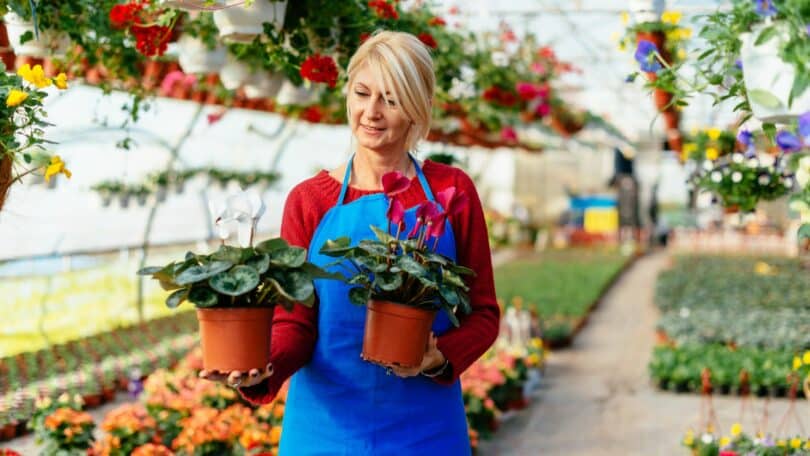 Imagem de uma floricultura e em destaque uma mulher mãe e empreendedora segurando dois casos de plantas.