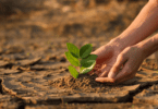 Criança plantando uma árvore. Conceito de crise das mudanças climáticas