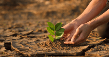 Criança plantando uma árvore. Conceito de crise das mudanças climáticas