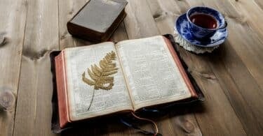 Imagem de uma mesa de madeira e sobre ela, uma bíblia fechada, uma aberta com um ramo de flor. Ao lado, uma xícara de chá sobre um pires.