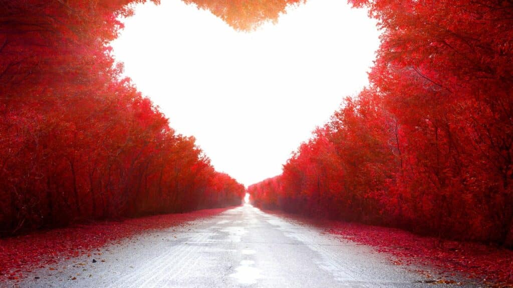 Imagem de uma estrada e em destaque um coração. Nas laterais da estrada, árvores vermelhas.
