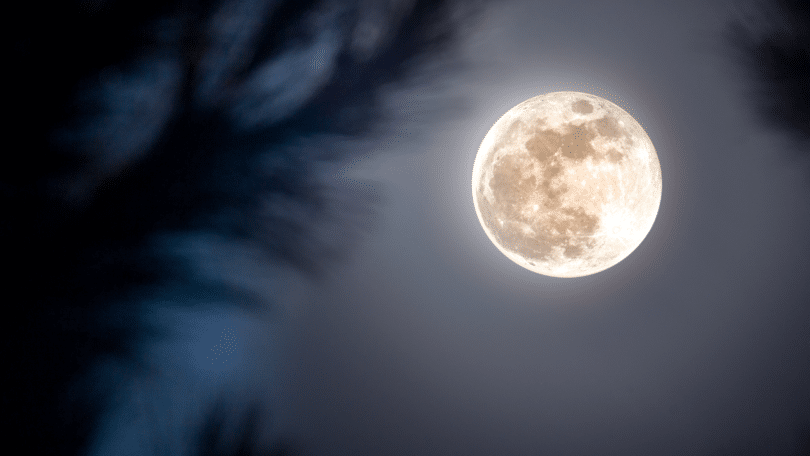 Lua cheia em céu azul escuro.