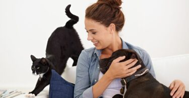 Imagem de fundo branco e em destaque uma moça de cabelo preso, sentanda brincando com um gato e um cachorro, seus animais de estimação, mostrando a prática da convivência.