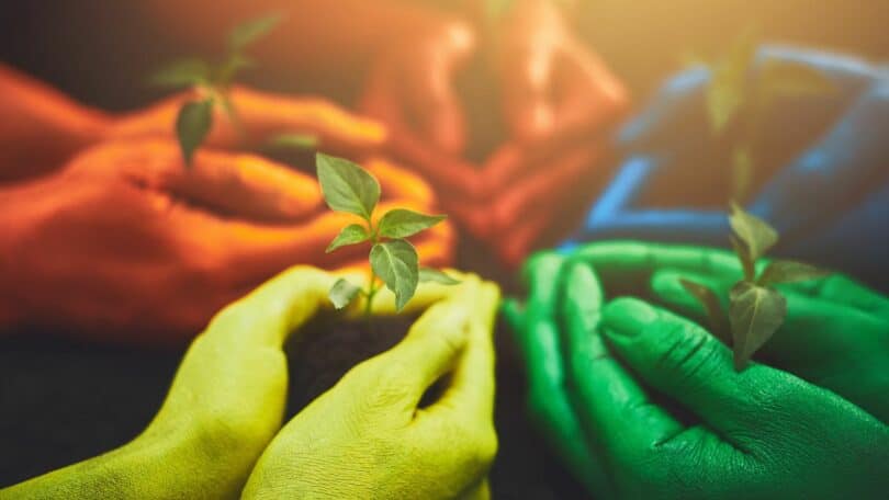 Imagem de várias mãos coloridas nos tons verde, laranja, amarelo e vermelho, segurando uma muda de flor em uma terra, representando o conceito de todos somos um.