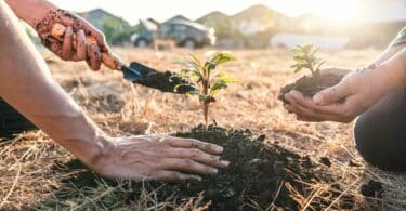 A imagem mostra os braços e mãos de dois homens plantando mudas. O homem que está posicionado na direita está com a sua mão direita suja de terra e segura uma pá. Ele apoia a sua mão esquerda na muda que está no centro da imagem. O homem que está posicionado na esquerda da foto segura uma muda com as duas mãos. No fundo, há montanhas, o céu, a luz do sol e carros estacionados desfocados.