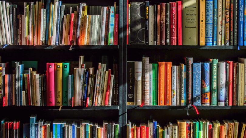 Livros com capas de diversas cores estão organizados em uma estante preta. A luz do sol reflete nos livros.