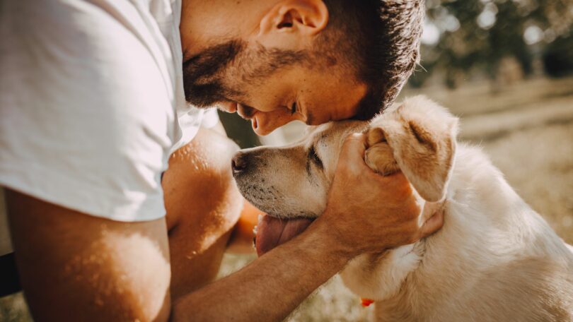 Imagem de um homem abraçando o seu cachorro caramelo
