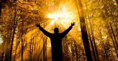 Imagem de fundo de uma floresta iluminada pelos raios do sol. Em destaque, a silhueta de um homem de costas e de braços erguidos para o sol, representando a proteção energética e espiritual.