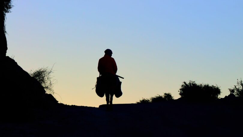 Imagem de um homem montando em um burrinho, andando por uma estrada em pleno nascer do sol.
