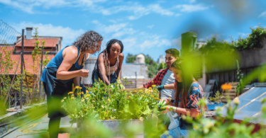 Um grupo de pessoas cultiva e cuida de um jardim. Eles estão em um ambiente urbano e o dia está ensolarado.