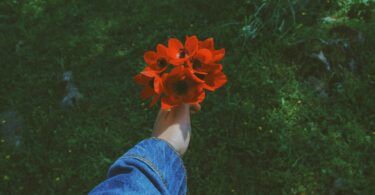 Imagem do braço de uma pessoa usando uma jaqueta jeans. Ela segura com uma das mãos, um ramalhete de flores vermelhas, trazendo o conceito de renovação e renascimento pessoal.