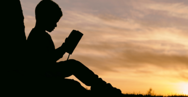 A silhueta de uma criança (um menino) está sentada perto de uma árvore, enquanto segura e lê um livro. Ao fundo, há o céu e o pôr do sol.
