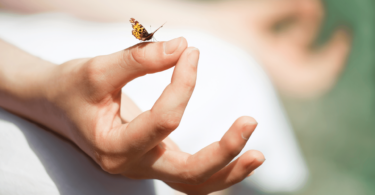 A imagem destaca as mãos de uma pessoa que está meditando. A mão direita está focada na imagem e sobre ela pousa uma borboleta amarela e pequena. A mão esquerda está desfocada.