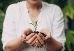 A imagem destaca as mãos de uma mulher segurando um pouco de terra com uma pequena planta florescendo em cima.