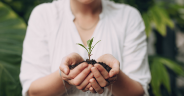 A imagem destaca as mãos de uma mulher segurando um pouco de terra com uma pequena planta florescendo em cima.