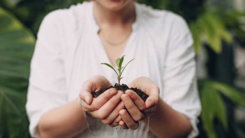 A imagem destaca as mãos de uma mulher segurando um pouco de terra com uma pequena planta florescendo em cima.