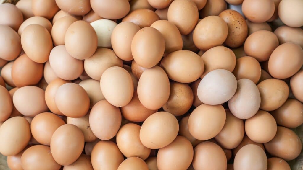 Imagem de muitos ovos orgânicos na cor vermelha.