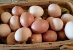 Imagem de uma cesta de vime com muitos ovos nas cores vermelho e branco.