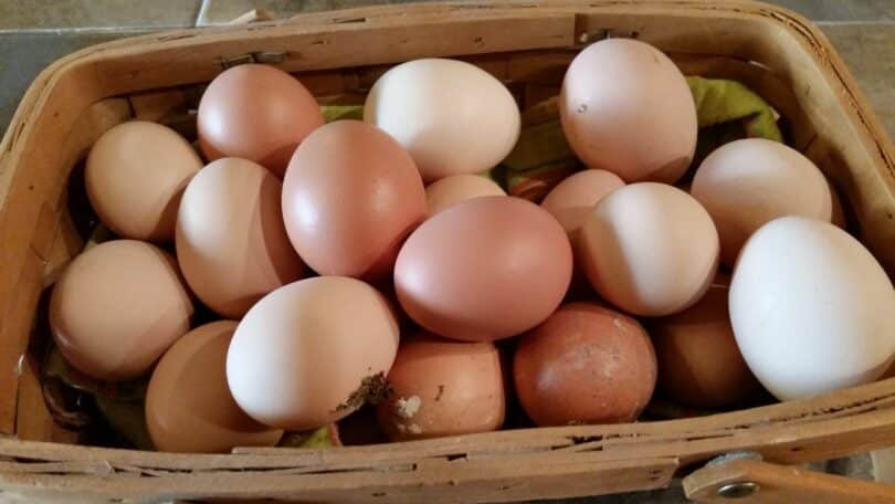 Imagem de uma cesta de vime com muitos ovos nas cores vermelho e branco.