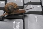 Imagem de um caramujo andando sobre o teclado de um computador.