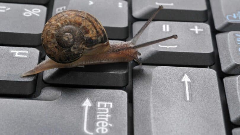 Imagem de um caramujo andando sobre o teclado de um computador.