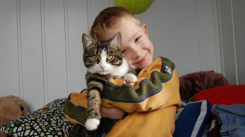 Imagem de um garotinho abraçando e segurando um gato. A foto traz o conceito de amor incondicional, empatia e desapego, mostrando que amar é cuidar, proteger e acolher, mas também é respeitar o tempo e a liberdade do outro.