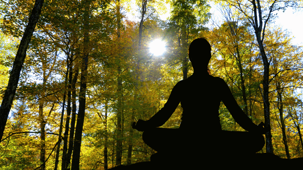 A silhueta de uma mulher meditando sentada perto de várias árvores está no foco da imagem. A luz do sol reflete ao fundo.