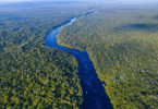 Há uma vista aérea do Rio Amazonas no Brasil.