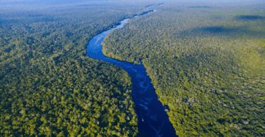 Há uma vista aérea do Rio Amazonas no Brasil.