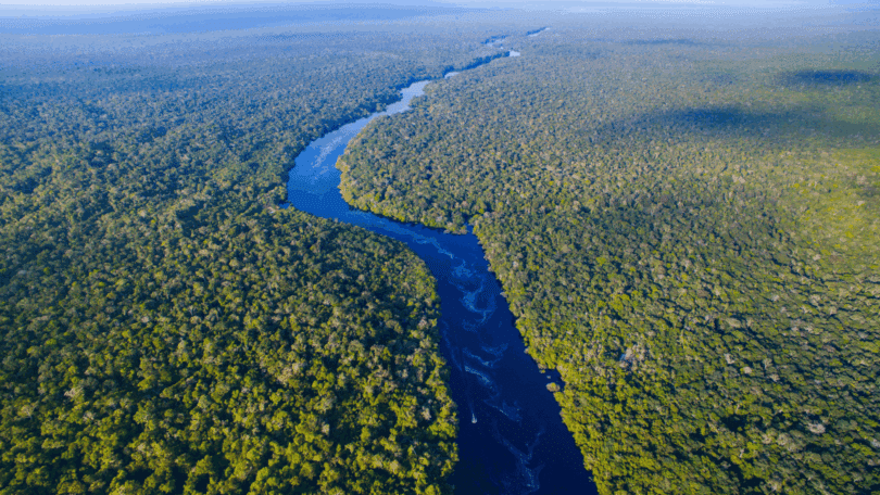 Há uma vista aérea do Rio Amazonas no Brasil.