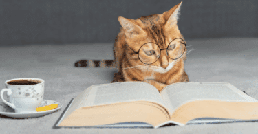 Um gato laranja que usa um óculos de grau está observando um livro aberto que está na sua frente. Ao lado, há uma xícara com chá.