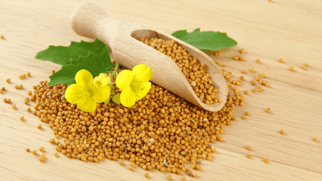 Duas flores de mostarda amarelas estão em cima de várias sementes de mostarda e três folhas verdes.