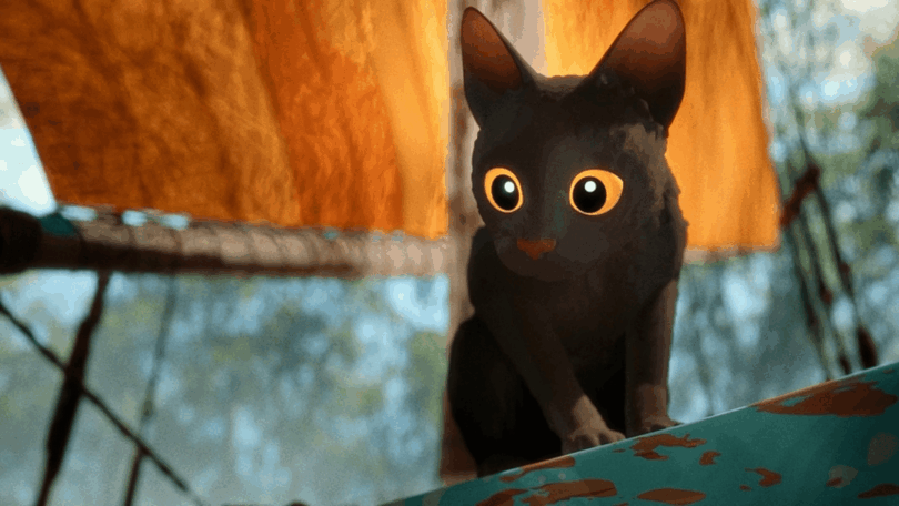 O gato preto e protagonista do filme de animação "Flow" está em cima de um barco. Ele olha para baixo.
