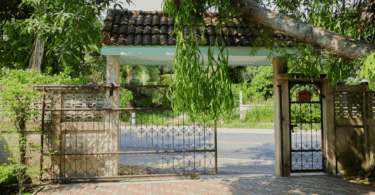 Um portão de uma casa está sendo aberto. Ao redor dela, há várias árvores e plantas.