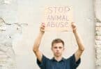 Imagem de um jovem segurando um cartaz de papelão com a frase "Pare o abuso de animais"