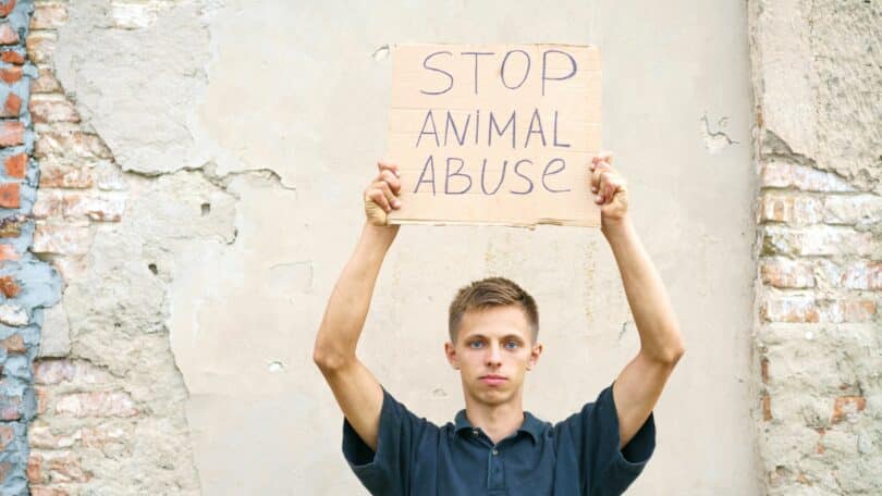 Imagem de um jovem segurando um cartaz de papelão com a frase "Pare o abuso de animais"