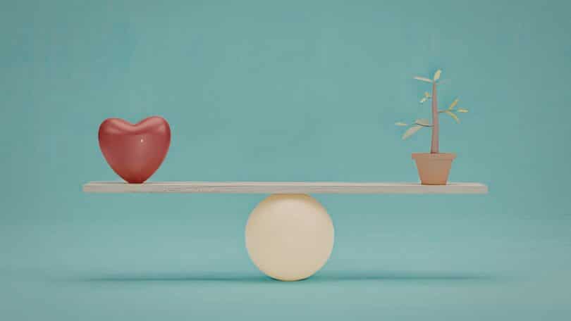 Imagem de uma balança feita em madeira. De um lado dela, um coração e do outro uma planta, simbolizando o conceito de lar equilibrado.