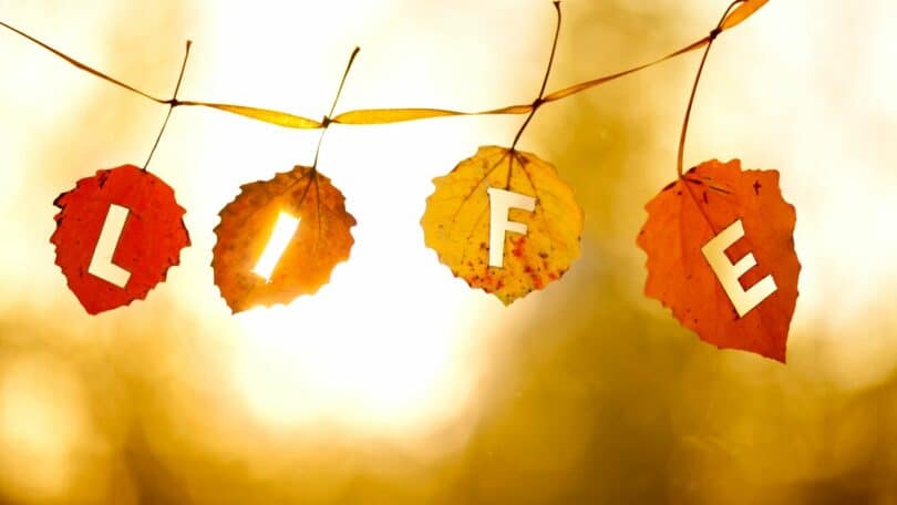 Imagem de fundo amarelo em destaque 4 folhas e em cada uma as letras L I F E, formando a palavra Life em inglês, simbolizando a reflexão sobre a vida.