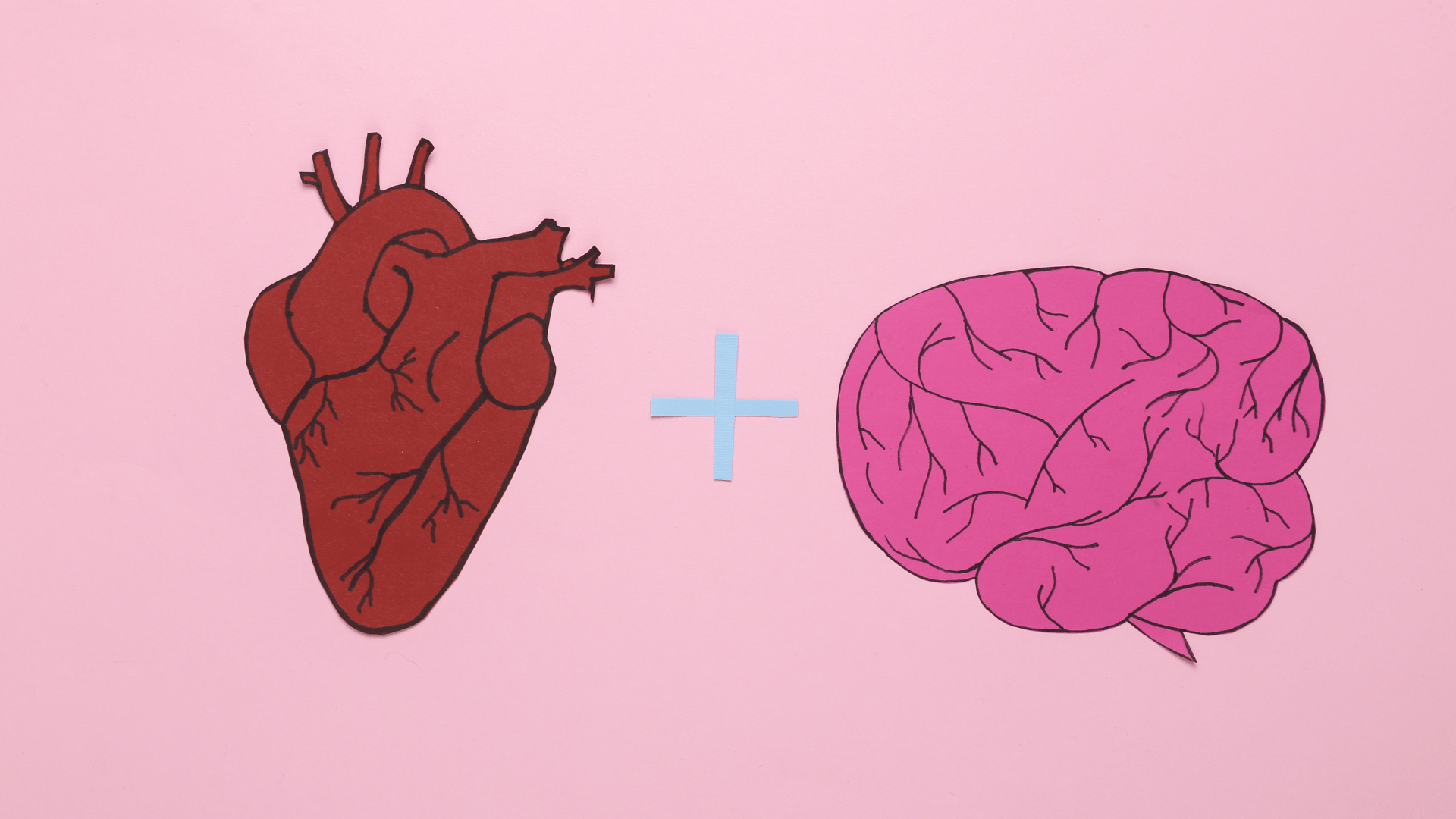 Ilustração de um coração e um cérebro lado a lado, conectados por um símbolo de adição sobre fundo rosa.