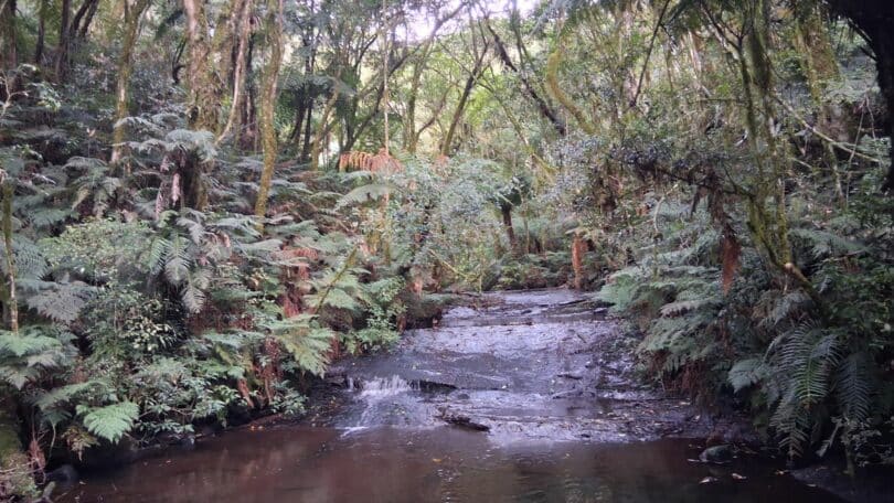 Imagem de rio, simbolizando o conceito de ressignificação do tempo, da vida.