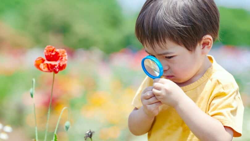 Imagem de uma criança oriental, segurando uma lupa, olhando uma flor vermelha. A foto traz o conceito de observador, realidade e o que pode ser mudado diante do que vemos.