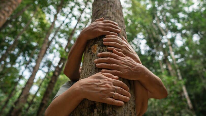 Imagem de várias mãos, abraçando um árvore no centro de uma floresta, simbolizando a conexão com a natureza e o bem-estar.