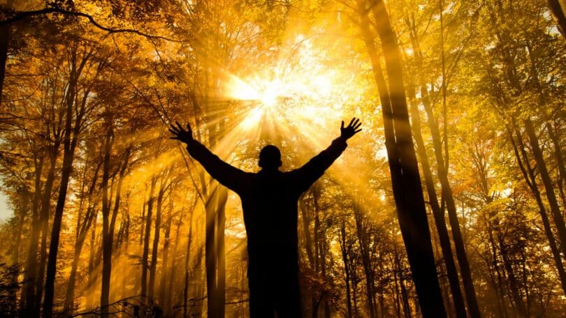 Imagem da silhueta de um homem dentro de uma floresta muita iluminada pela luz do Sol, simbolizando a espiritualidade.