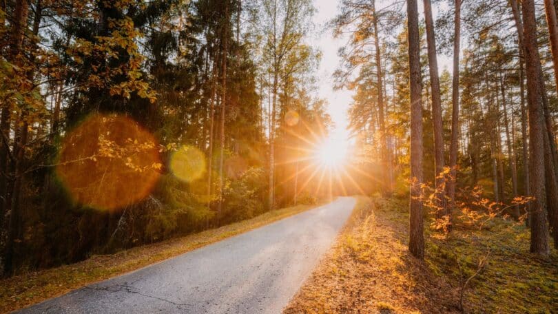 Imagem de uma estrada com múltiplos caminhos se abrindo ao horizonte, representando escolhas, direção de vida e a busca por alinhamento pessoal e propósito.