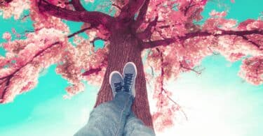 Imagem de uma árvore de cerejeira linda e florida e em destaque as penas de uma pessoa, usando calça jeans e um tênis azul claro, simbolizando o descanso.
